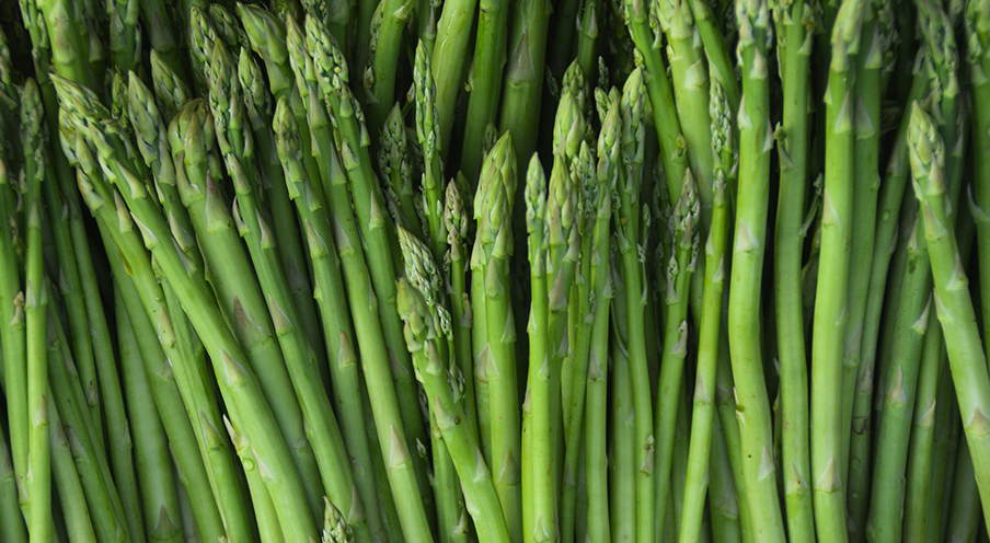 Asparagus green