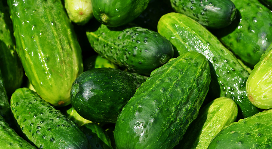 Nostrani Cucumbers